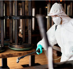 disinfection service